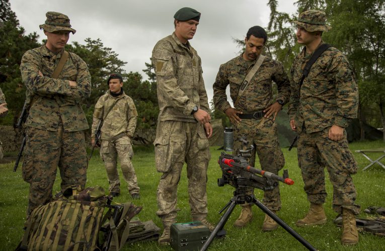 NZDF Scales Back Exercise Southern Katipo