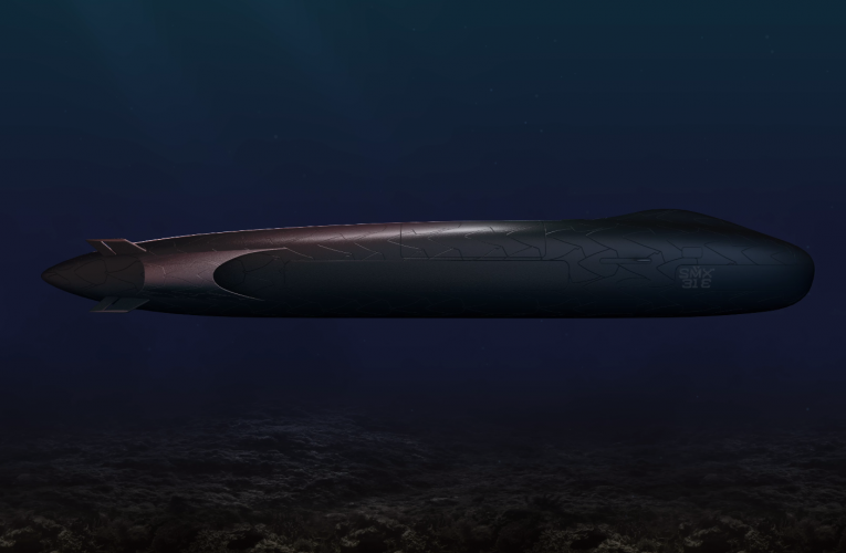 Naval Group Reveals SMX 31 E, its 2020 Concept Sub